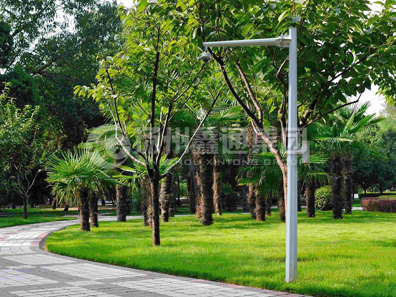 DJG-022，電子警察桿，八棱懸臂球機(jī)桿